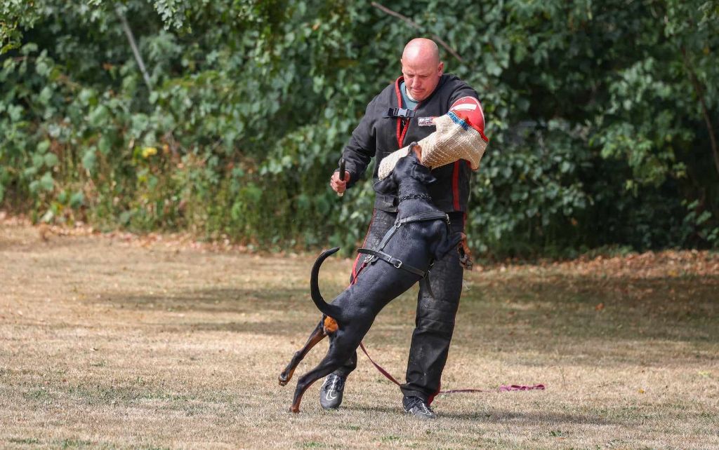 Publication : of Black Crystal Shadow