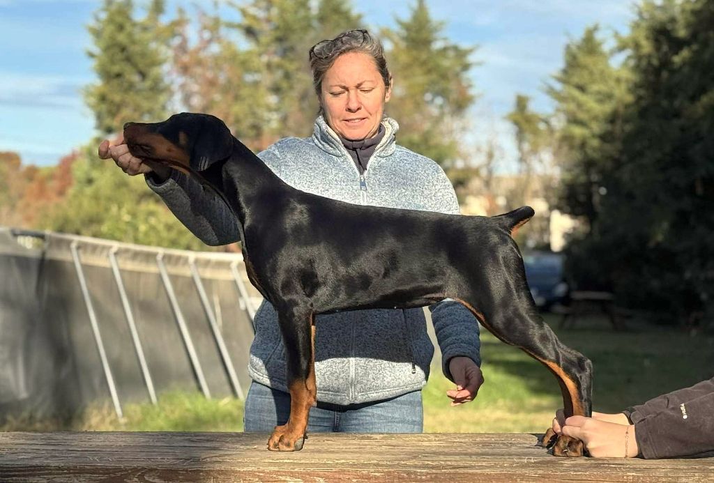 Publication : Des Brumes De Kalhan 