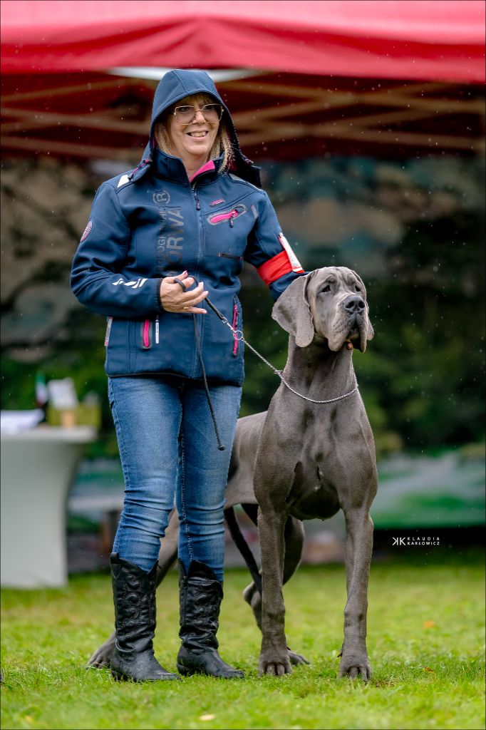 Publication : Realijo 