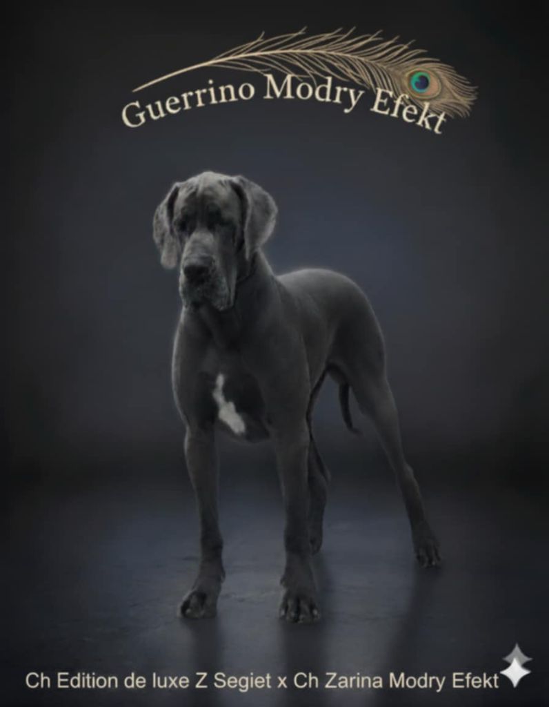 Publication : Des Géants Du Paradis D'hava