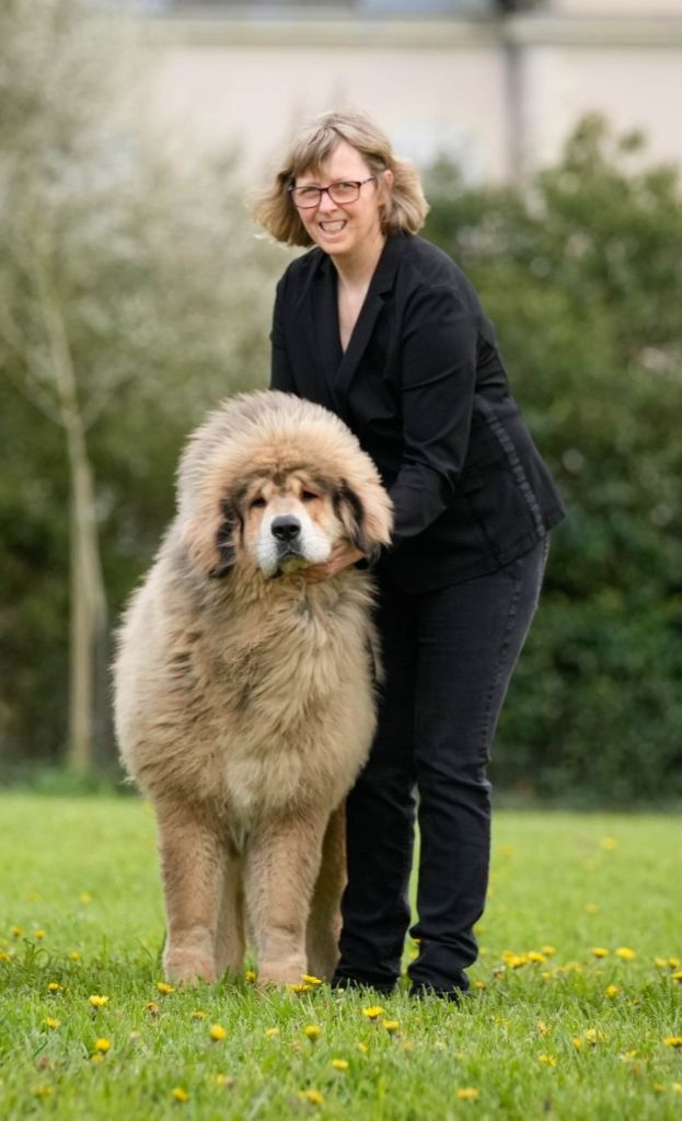 Publication : du domaine de Toundra 