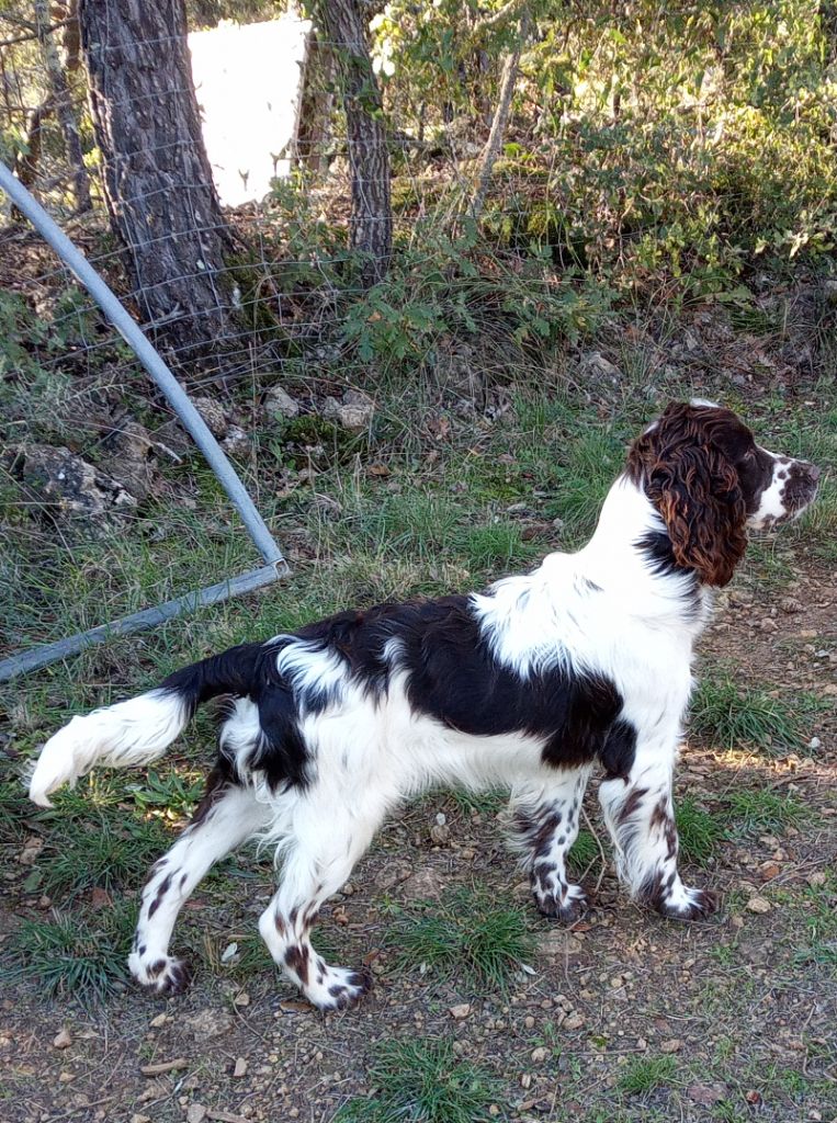 Publication : des combes de la martelle 