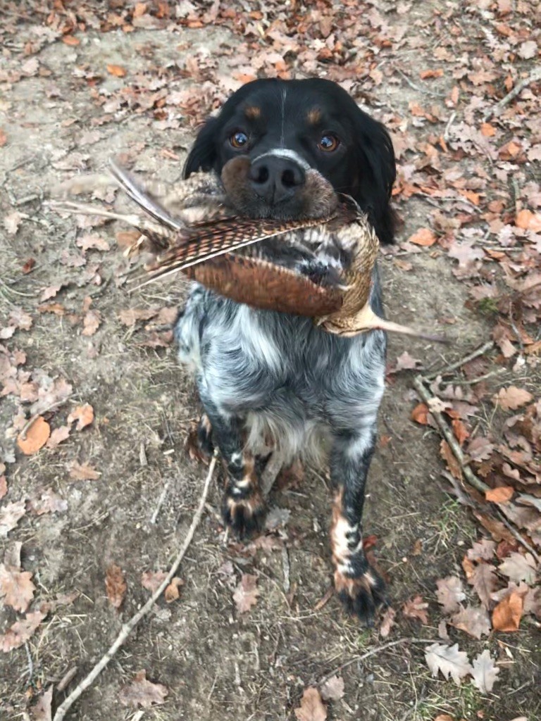 Publication : De La Belle Des Bruyères 