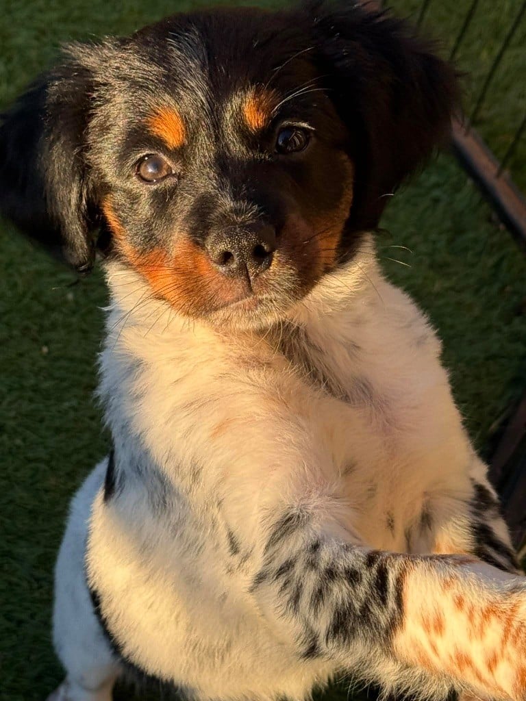 Publication : Du Vallon D'Iron