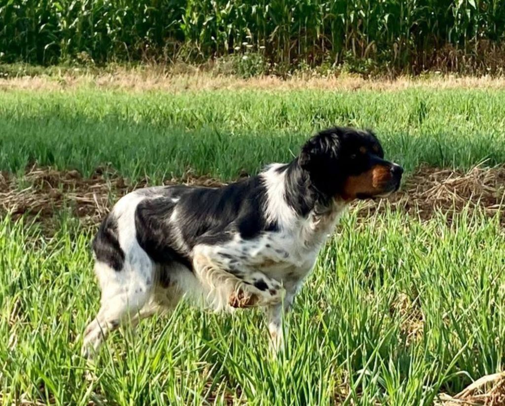 TR. CH. Tex du chemin du sel