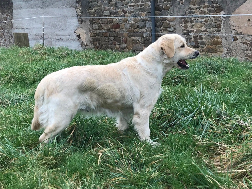 Publication : Du Ruisseau De La Groseille 