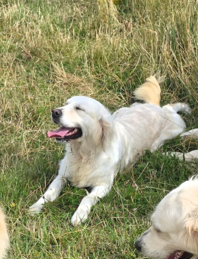 Publication : aux champs du madison