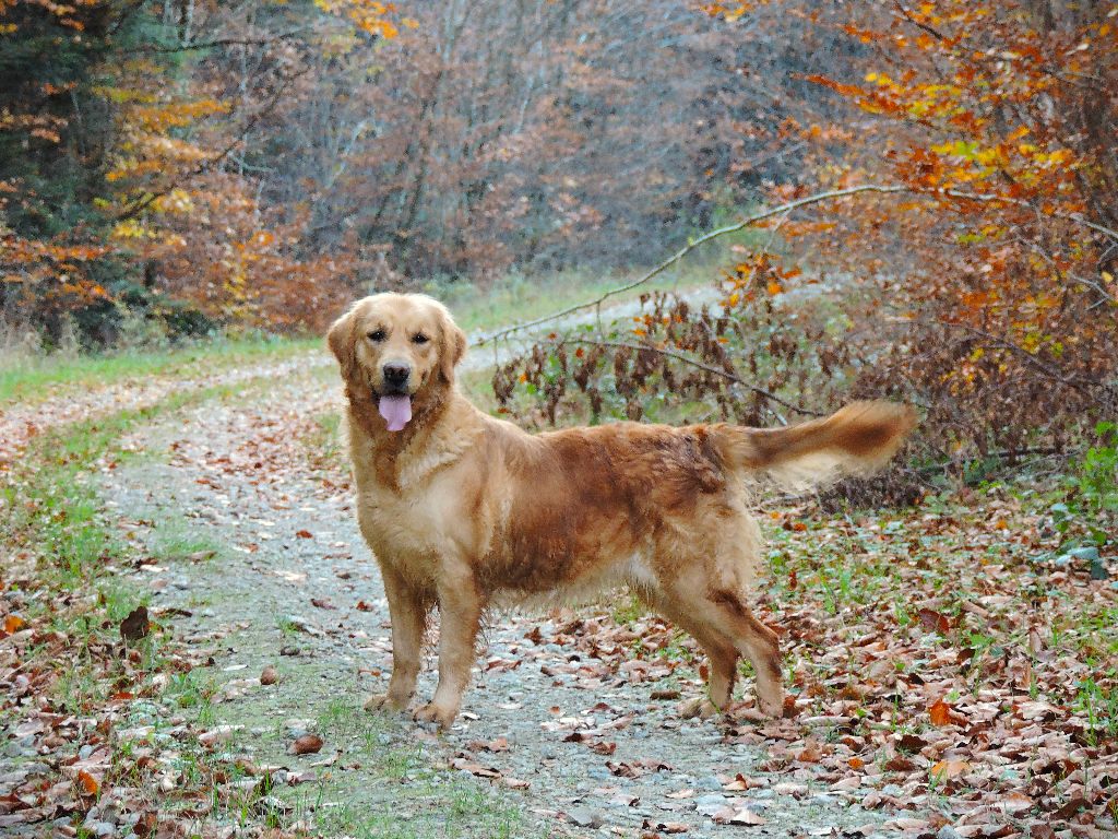 Publication : Elixir d'Aydoilles 