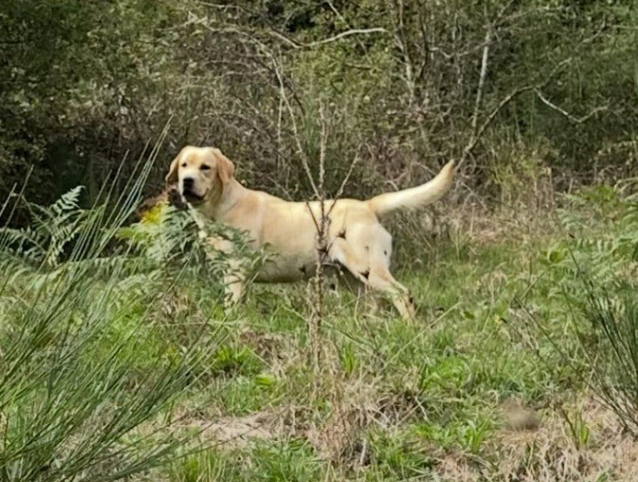 Publication : Du Pomayrol 