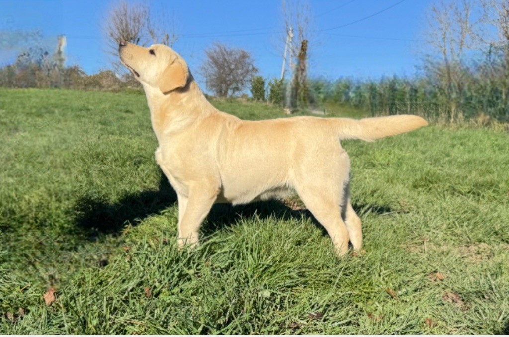 Publication : Du Pomayrol 