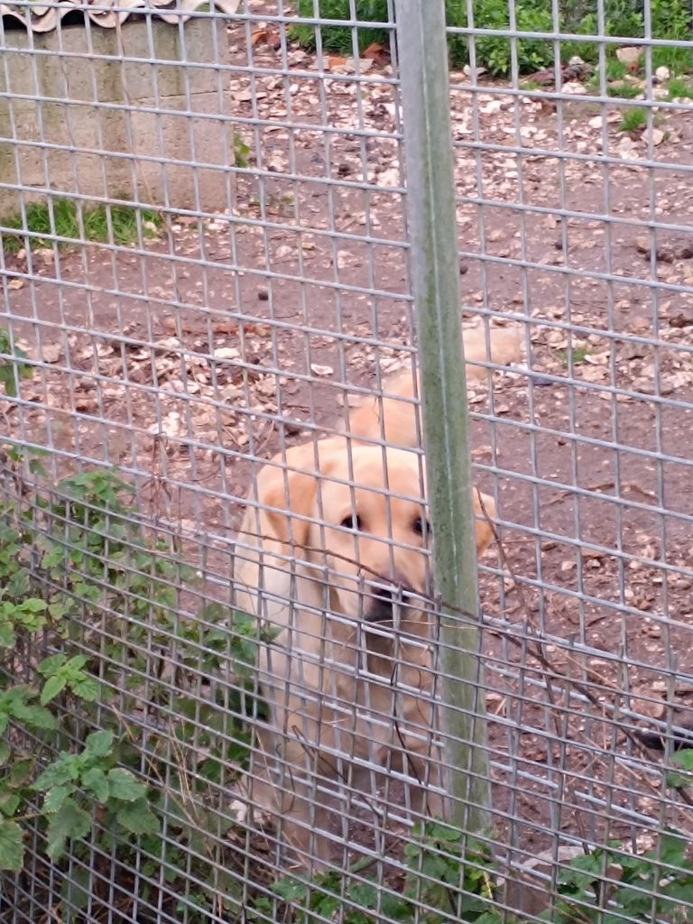 Publication : Du Marais De Lasné 