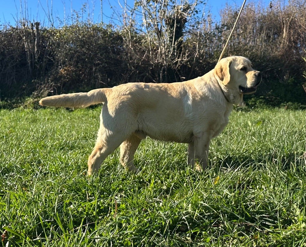 Publication : Du Pomayrol