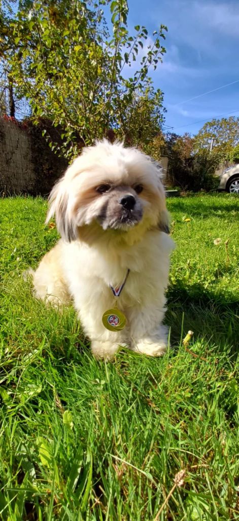 Publication : Des Coeurs Passionnés De L'Etang Auteur : GC