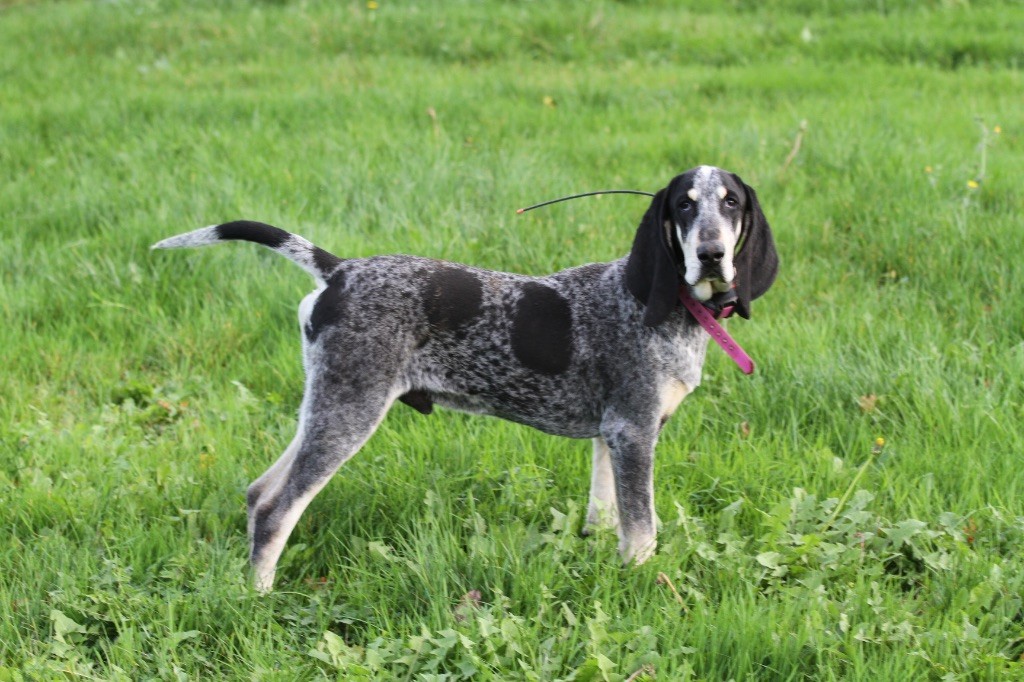 Publication : Des Côteaux De Moissac