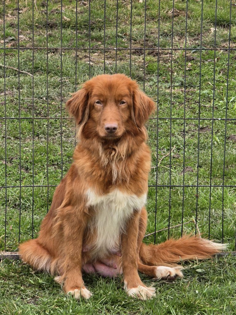 Publication : du Chemin d'Ava 