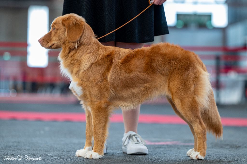 Publication : Ekwanimity