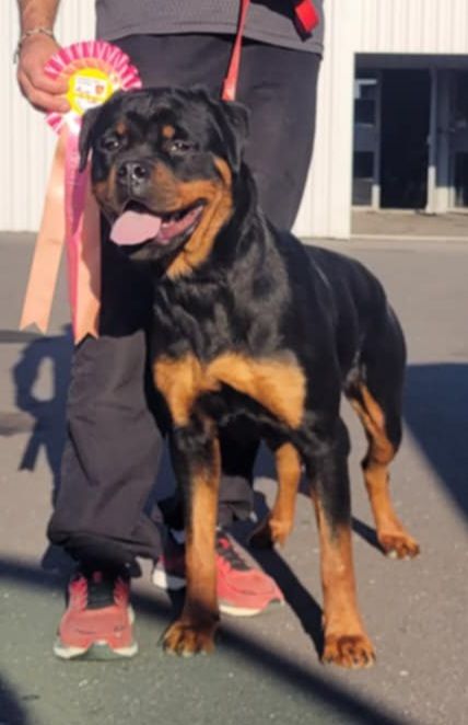 Publication : Des Princes De Calvignac 