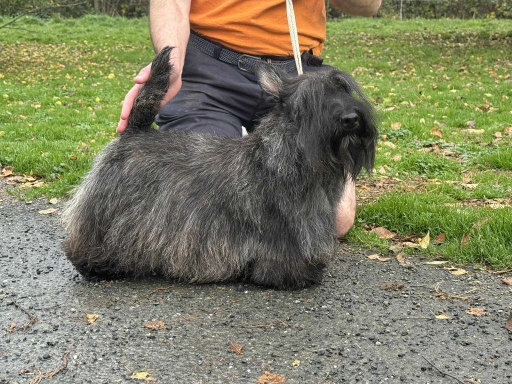 Publication : Gabéric's Auteur : Dr Benoit LEBLANC