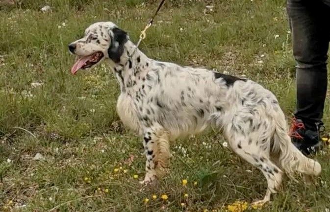 Publication : du mas du zouave Auteur : MDZ