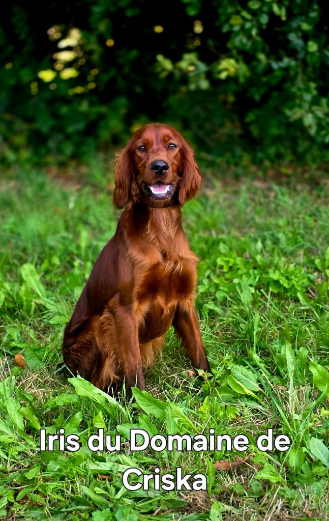 Publication : du Domaine de Criska 