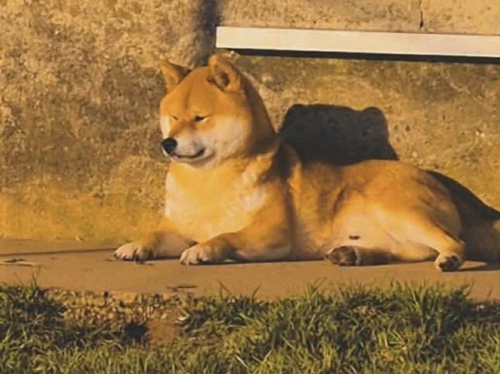 Publication : (Sans Affixe) 