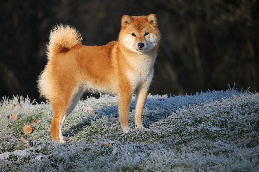 Publication : By Kyub'isae Auteur : Kyub'isae 