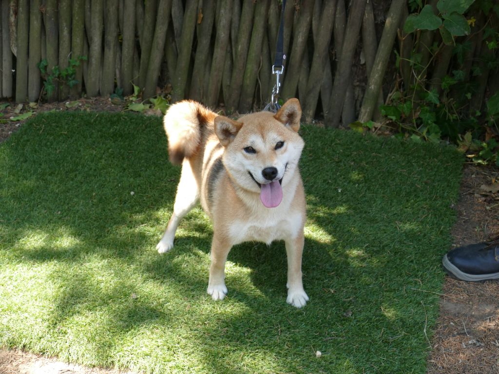 Publication : Du Temps Des Amazones Auteur : CLOE RIBOT