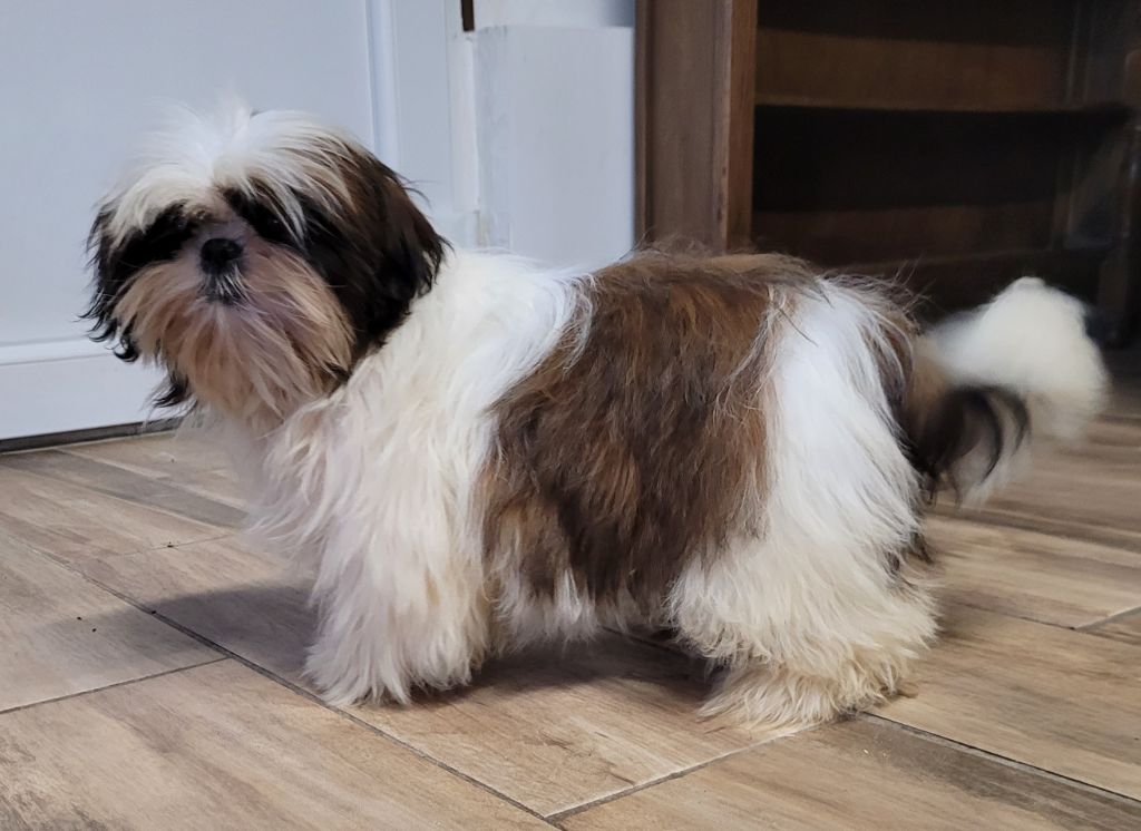 Publication : Des marais de courmont 