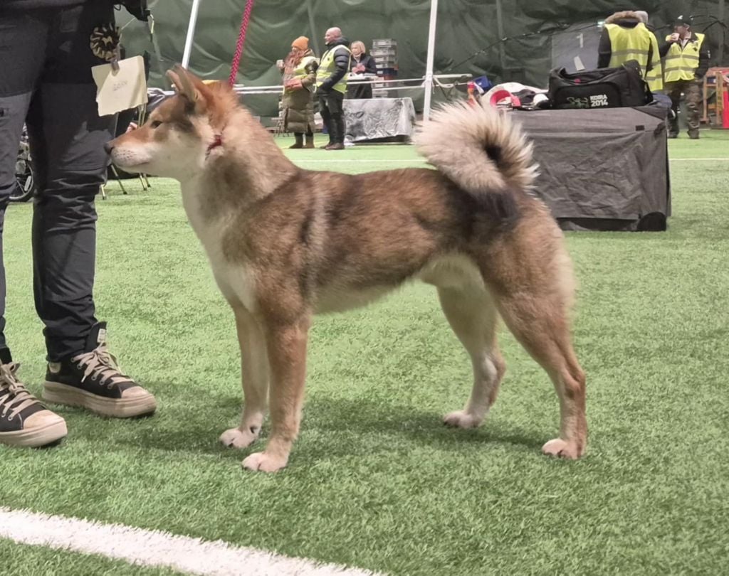 Yamato go musashi aiwa