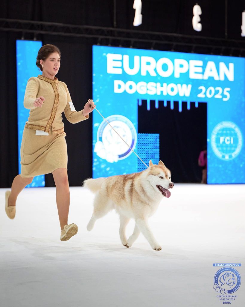 Publication : De L'Etoile D'Hasnaïa 