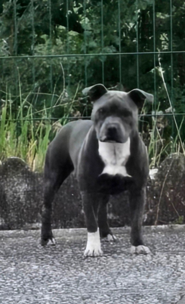 Publication : Des Gardiens De Malléa 