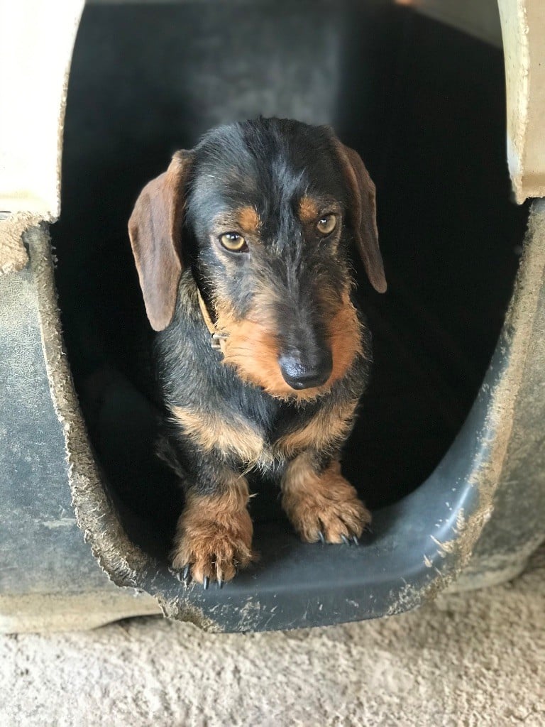 Publication : De La Plaine Des Muscatelles Auteur : Aude Mouhet