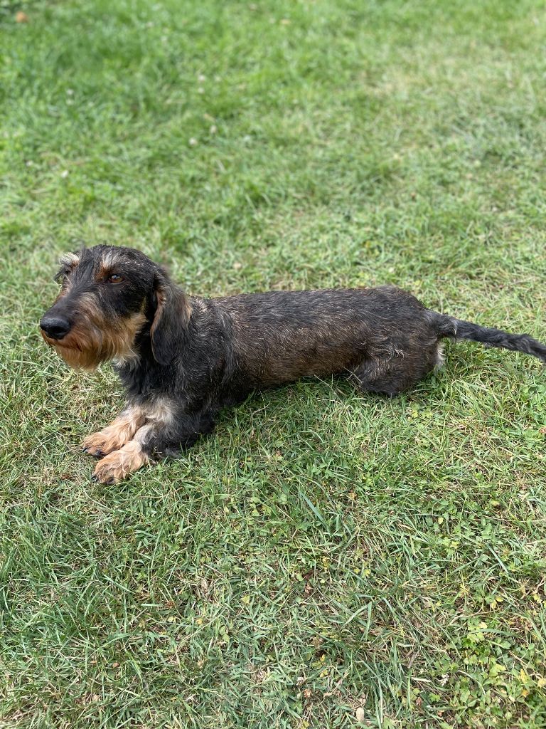 Publication : Des Fontaines D’Orka 