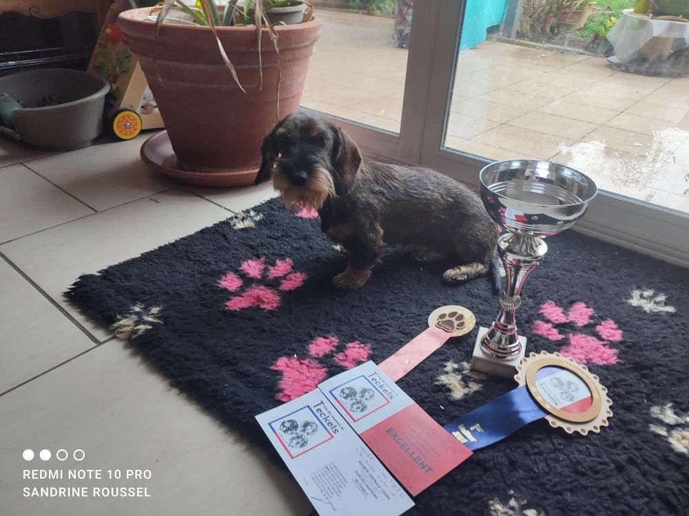 Publication : Oun Bass Auteur : sandrine ROUSSEL-MANTION