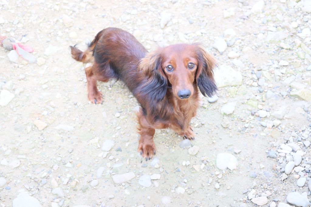 Publication : de la grande equinoxe