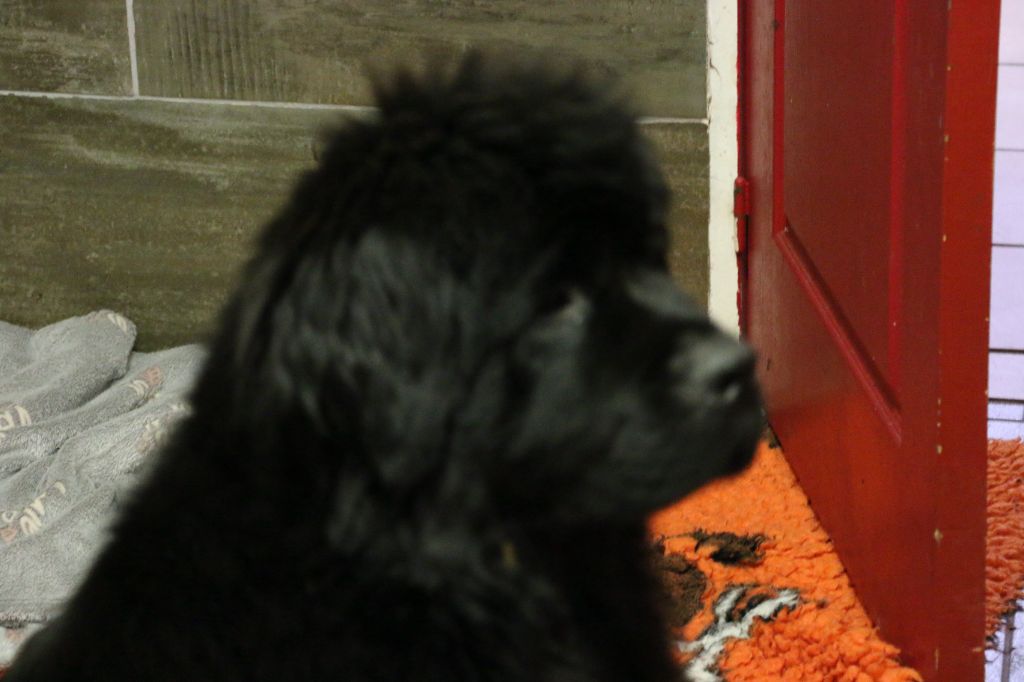 Publication : du domaine du Taennchel 