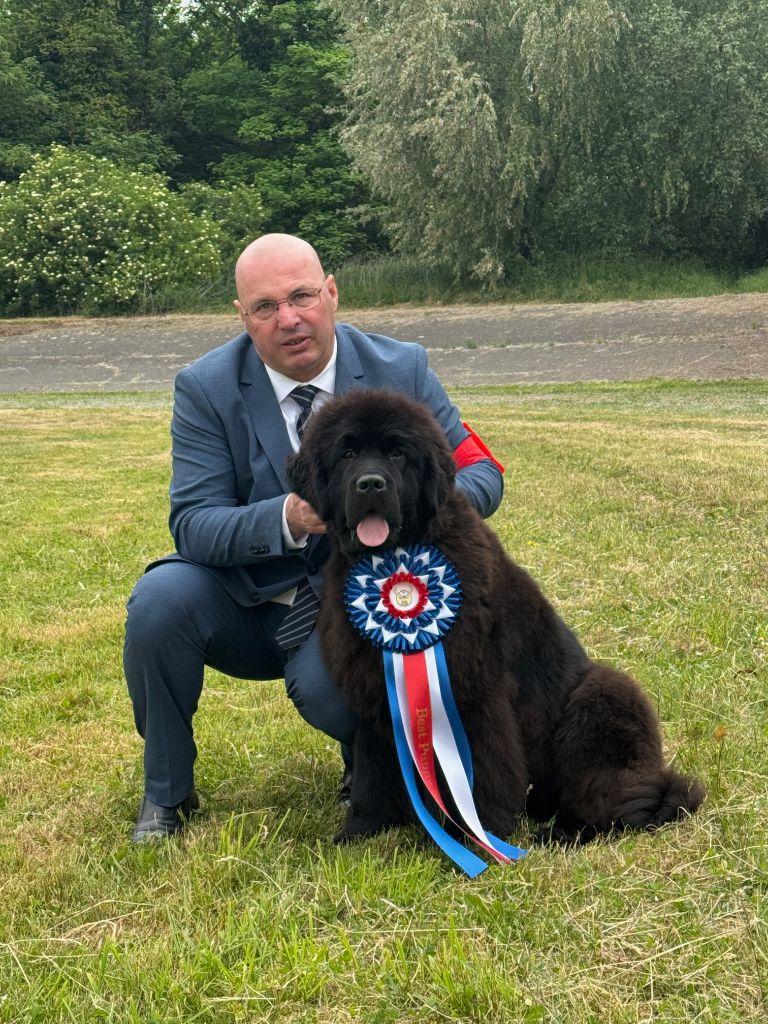 Publication : du domaine du Taennchel