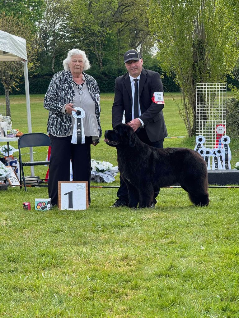 Publication : du domaine du Taennchel Auteur : OLIVIER MICHEL