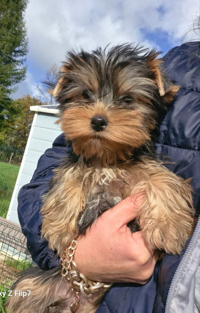 Publication : Du puits des sortileges 