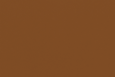 Étalon American Cocker Spaniel - Lord's Wain dsqdqsdqs