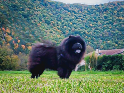 tokai van beauty tokai