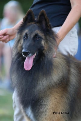 image de Therefore I am