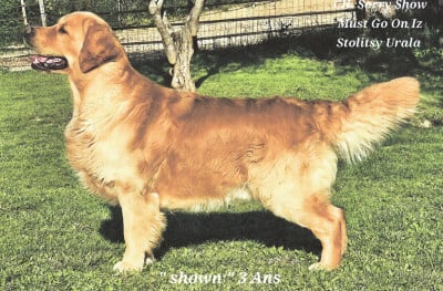 CH. go iz stolitsy urala sorry show must