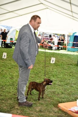 The Fascination Lady Of Secret's Sources