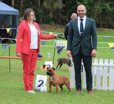 Taste Honey Of Secret's Sources