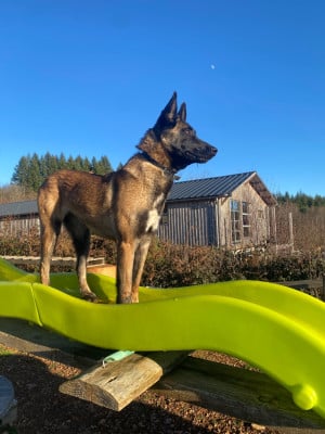 Rabane du Domaine De La Rebeyrie