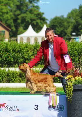 image de Hitmaker for von Roohan