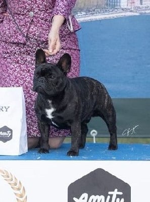 CH. valar dohaeri's Hannibal lecter