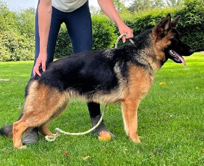 Uxy Du Clos De La Chanson