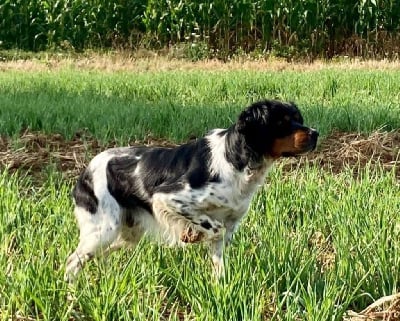 TR. CH. Tex du chemin du sel